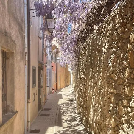 Grand Neuf à 50 M Du Port Appartement Saint-Tropez