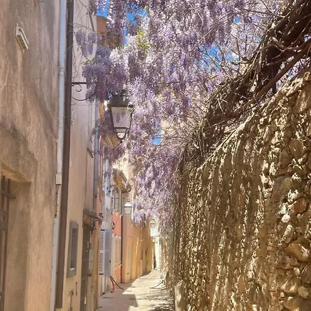 Appartement Grand Neuf à 50 M Du Port *