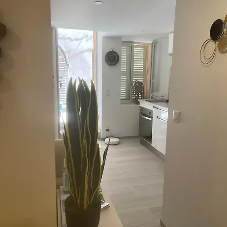 Grand Neuf à 50 M Du Port Appartement